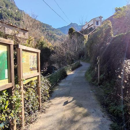 Alojamientos Puerta Del Parque Казорла Номер фото