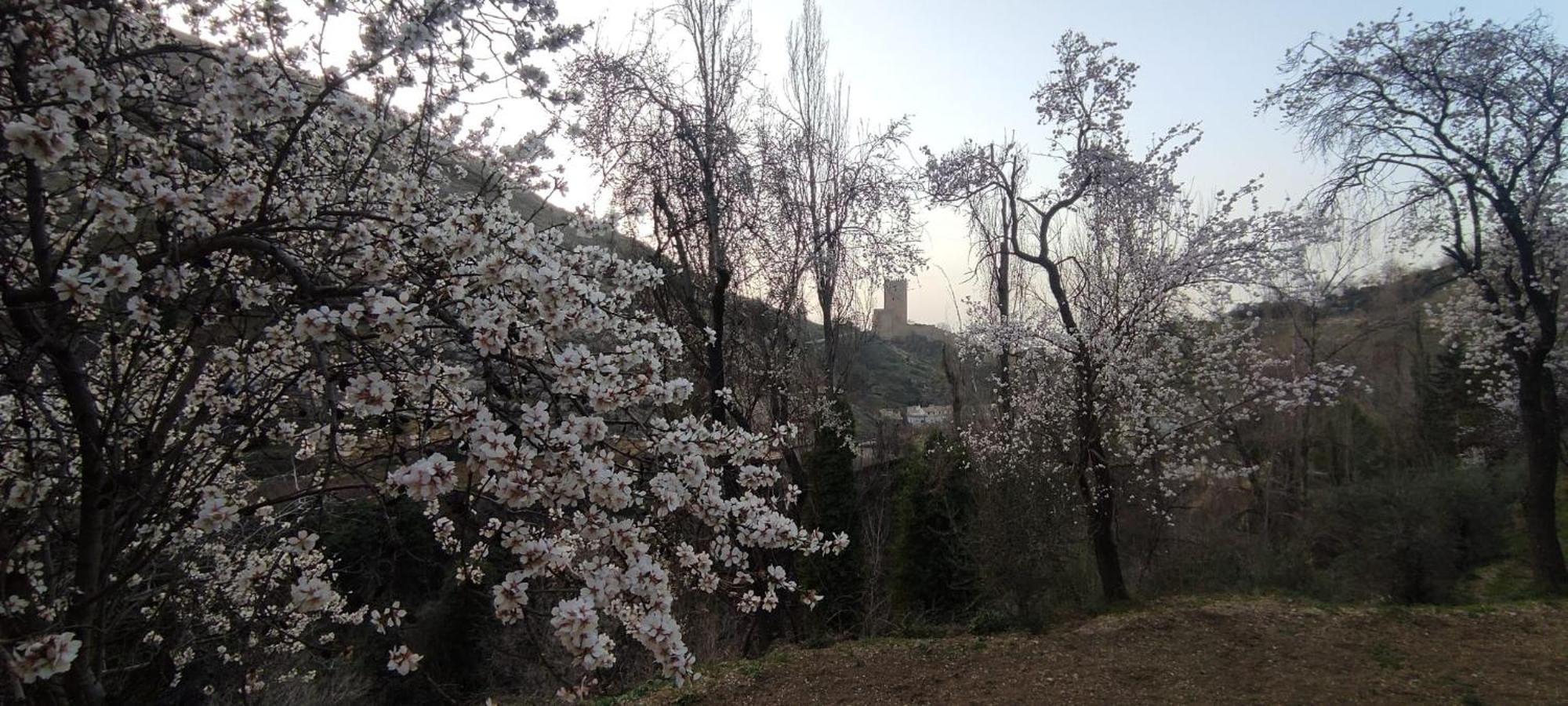 Alojamientos Puerta Del Parque Казорла Номер фото